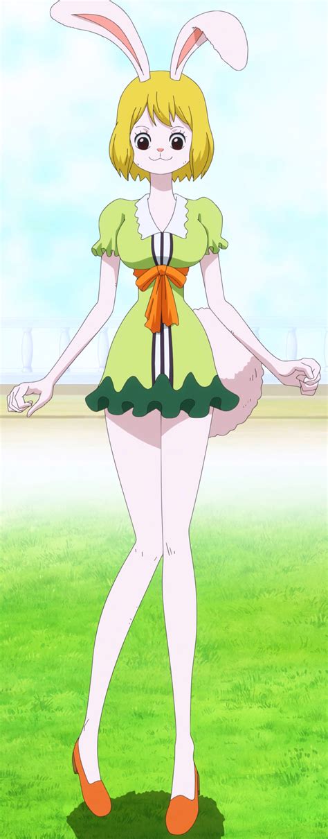 hentai one piece carrot|Character: carrot